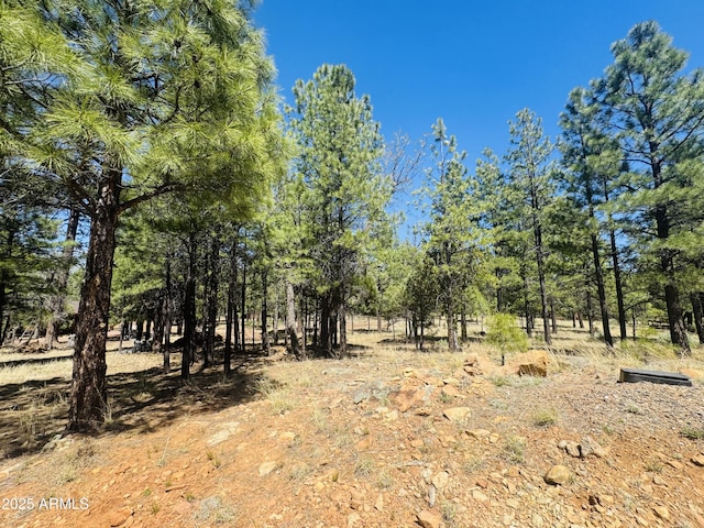 2627 San Juan Dr, Happy Jack, AZ 86024 - view of nature