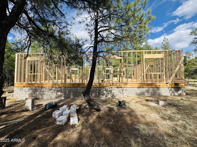 2627 San Juan Dr, Happy Jack, AZ 86024 - view of yard