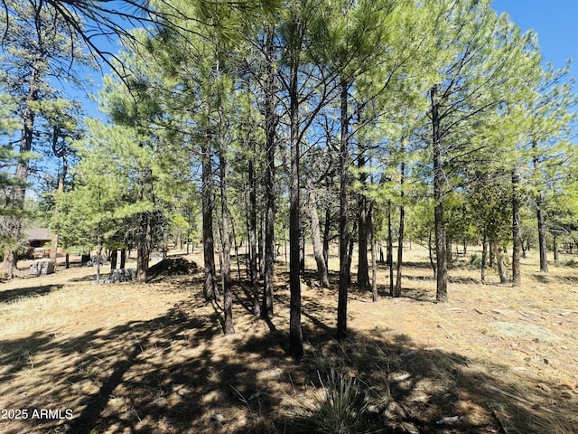 2627 San Juan Dr, Happy Jack, AZ 86024 - view of yard