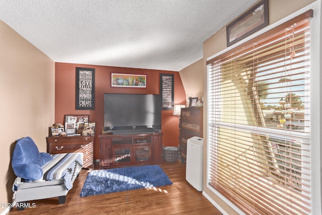 living room featuring hardwood / wood-style flooring and a textured ceiling