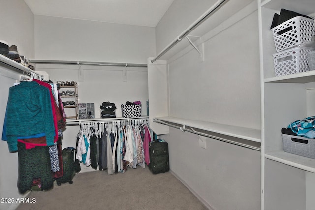 spacious closet with carpet flooring