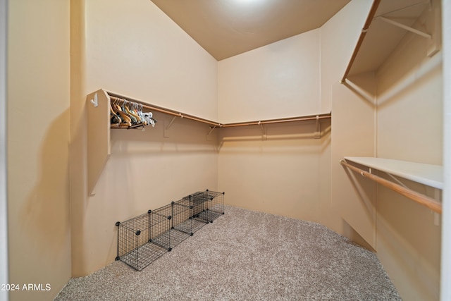 walk in closet featuring carpet flooring