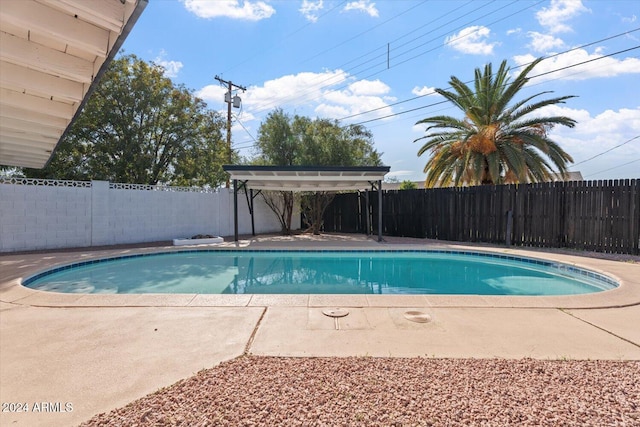 view of pool with a patio area