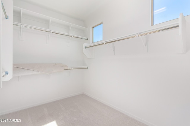 8628 W Solano Dr, Glendale, AZ 85305 - walk in closet with carpet flooring