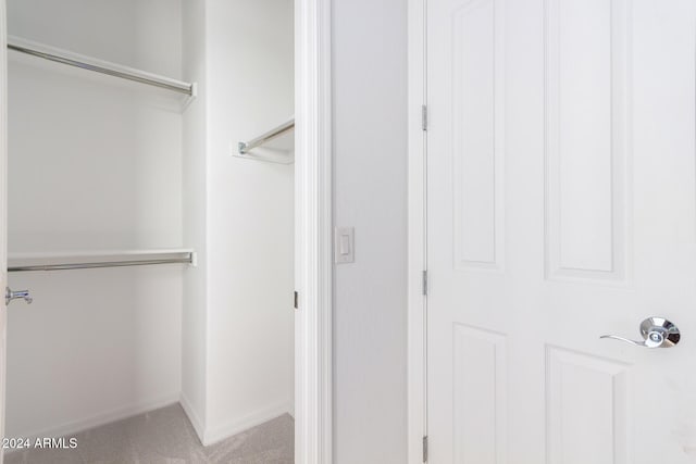 spacious closet with carpet flooring