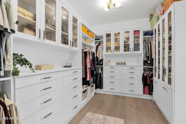 spacious closet featuring light wood-type flooring