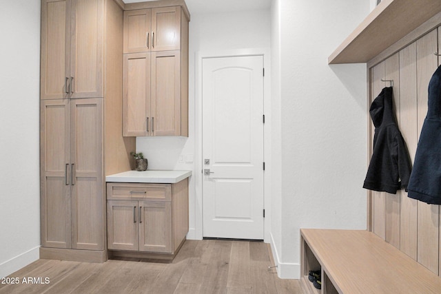 mudroom with light hardwood / wood-style floors