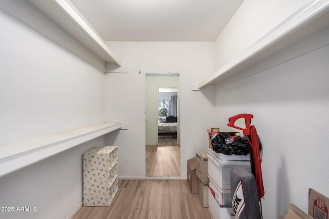 spacious closet featuring light wood-type flooring