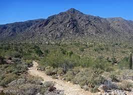 20209 W San Miguel Ave, Litchfield Park, AZ 85340 - view of mountain background