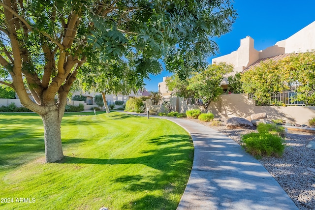 view of home's community featuring a lawn