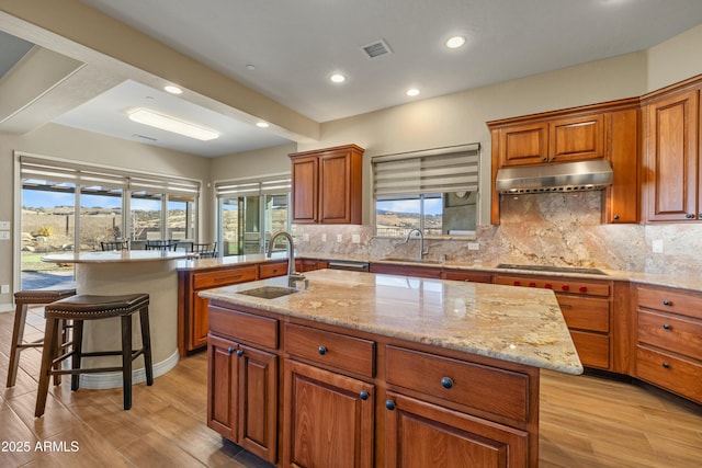 kitchen featuring sink, a healthy amount of sunlight, a kitchen island with sink, and tasteful backsplash