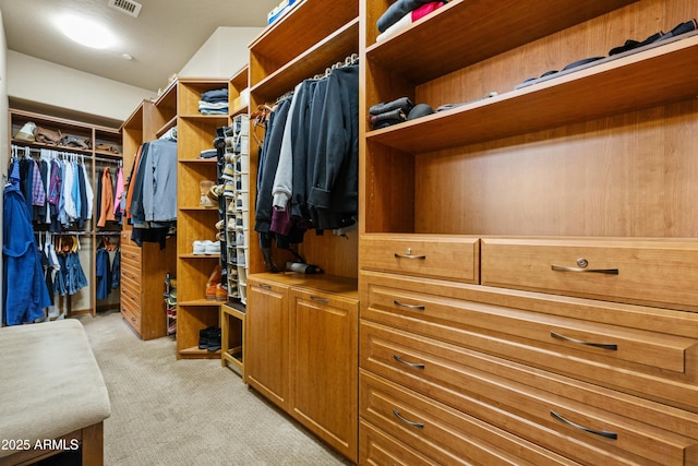 spacious closet with light colored carpet