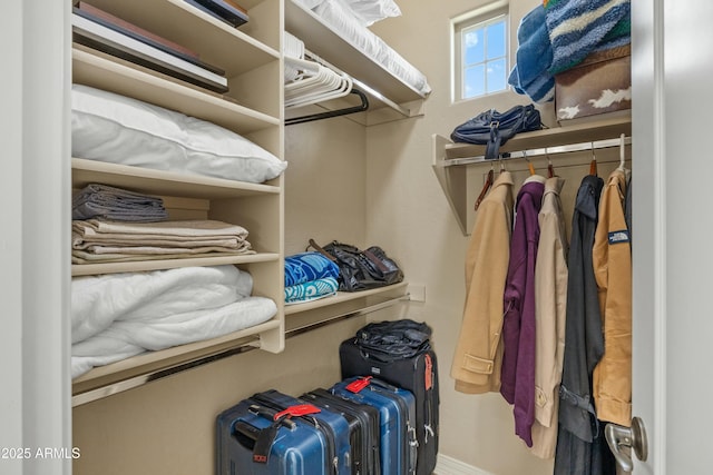 view of spacious closet