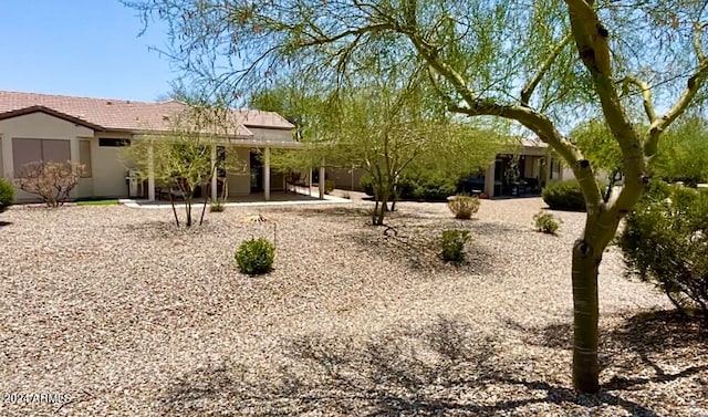 view of yard with a patio