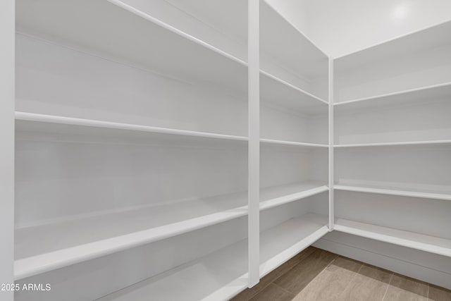 2083 W Lincoln Ct, San Tan Valley, AZ 85144 - view of pantry