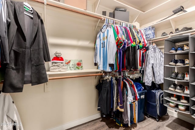 18669 W Vista Norte St, Goodyear, AZ 85338 - spacious closet featuring wood finished floors