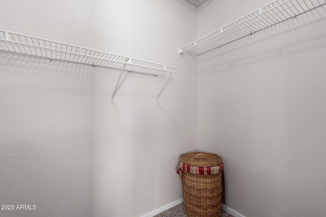 spacious closet with carpet