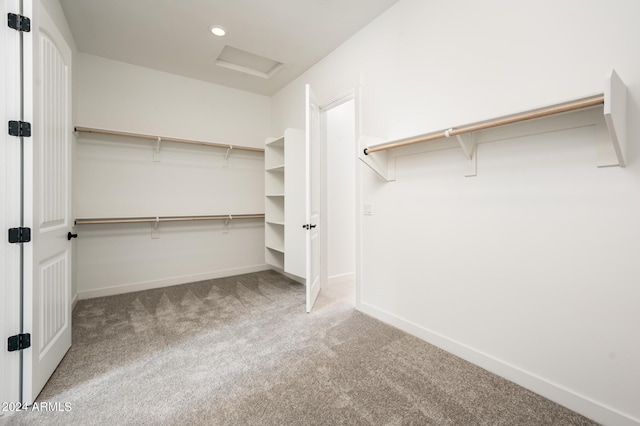 walk in closet featuring carpet floors and attic access