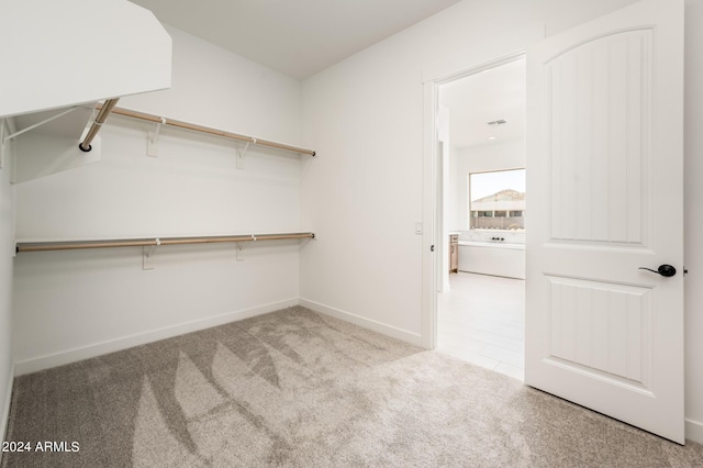 walk in closet with carpet