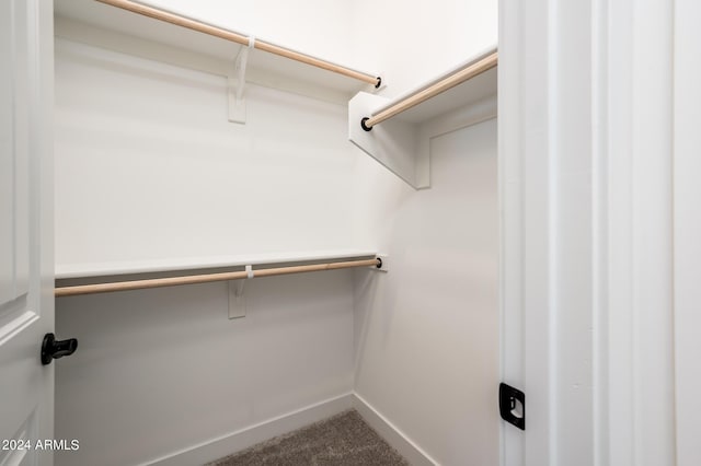 spacious closet with carpet