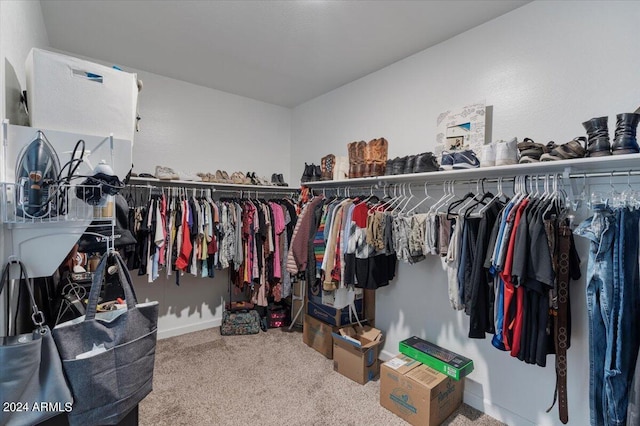 walk in closet with carpet flooring
