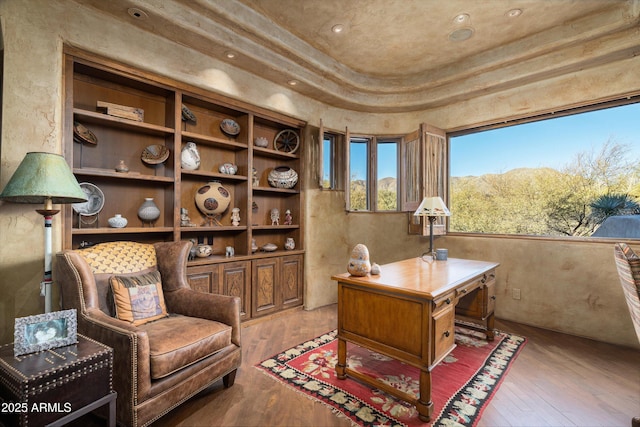 office area featuring hardwood / wood-style flooring