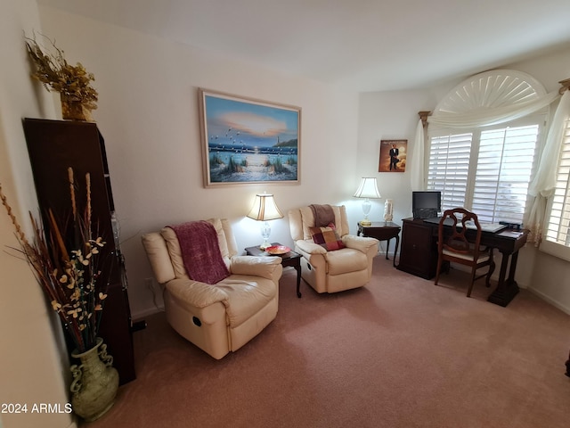 view of carpeted living room