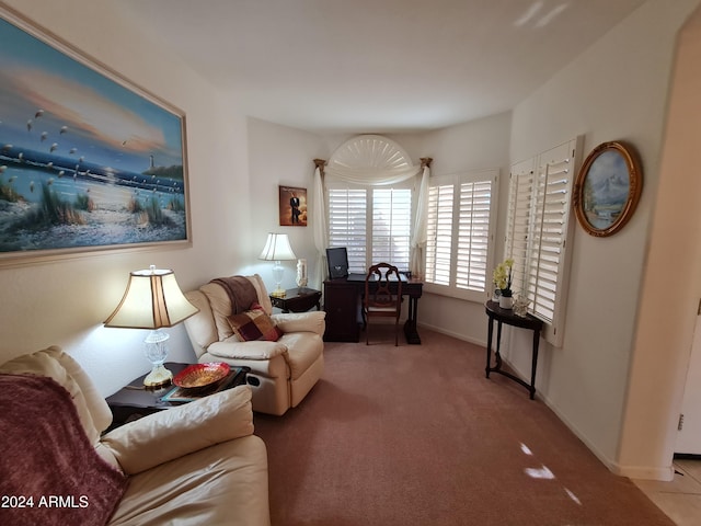 view of carpeted living room