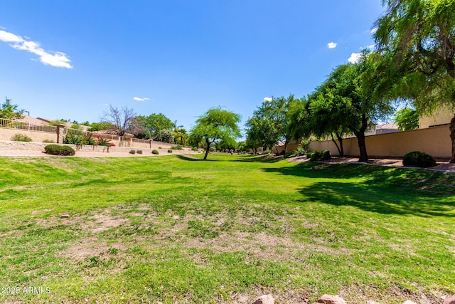 870 E Megan St, Gilbert, AZ 85295 - view of yard