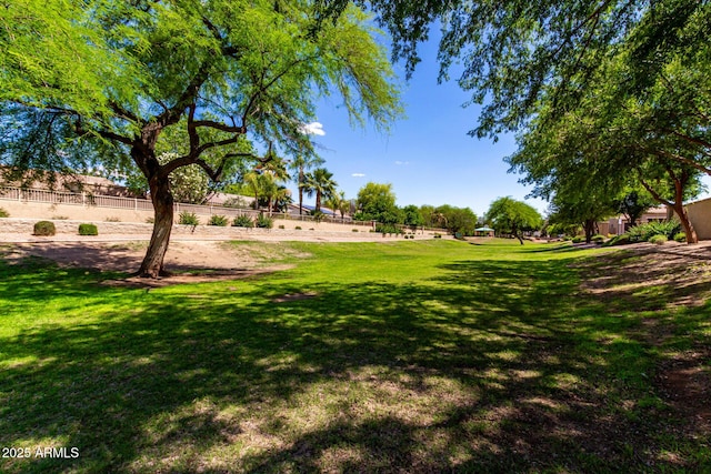 870 E Megan St, Gilbert, AZ 85295 - view of yard