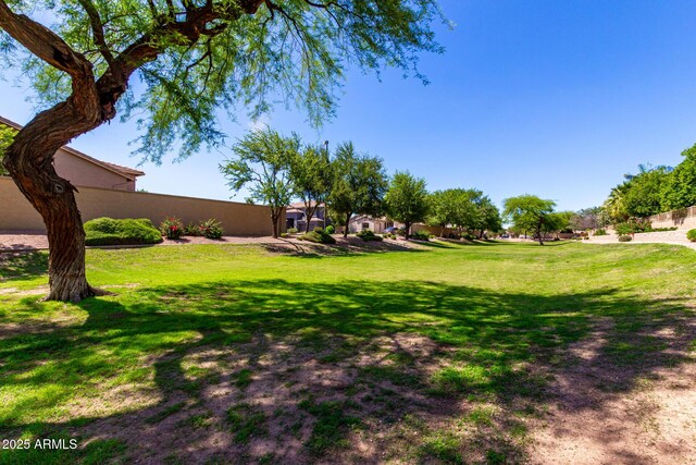 870 E Megan St, Gilbert, AZ 85295 - view of green lawn
