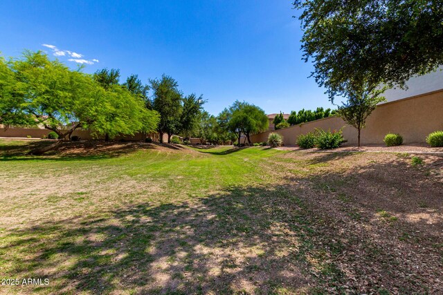 870 E Megan St, Gilbert, AZ 85295 - view of yard with fence