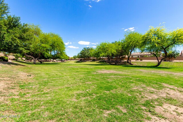 870 E Megan St, Gilbert, AZ 85295 - view of green lawn