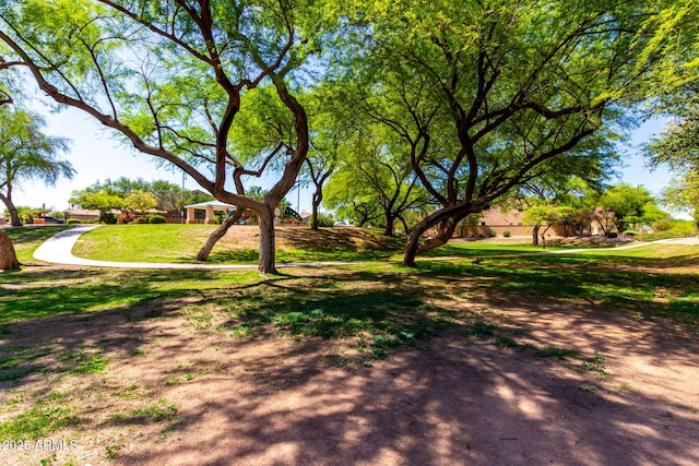 870 E Megan St, Gilbert, AZ 85295 - view of community with a lawn