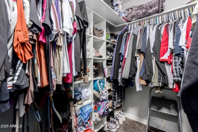 walk in closet featuring carpet flooring