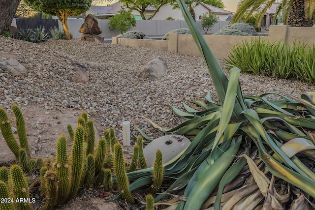 24005 N 45th Dr, Glendale, AZ 85310 - view of yard