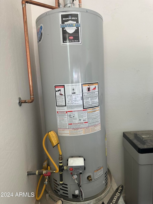 utility room featuring gas water heater