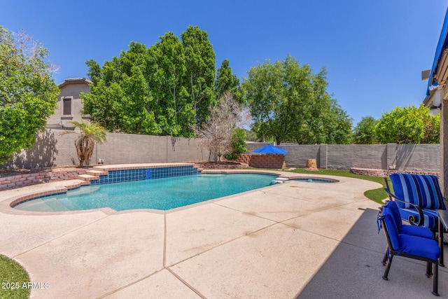 view of pool featuring a fenced in pool, a fenced backyard, a patio area, and an in ground hot tub