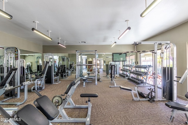 workout area with visible vents and carpet