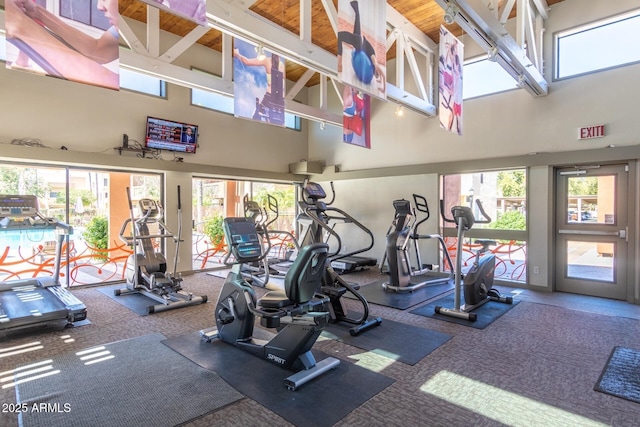 workout area with carpet, a towering ceiling, and a wealth of natural light