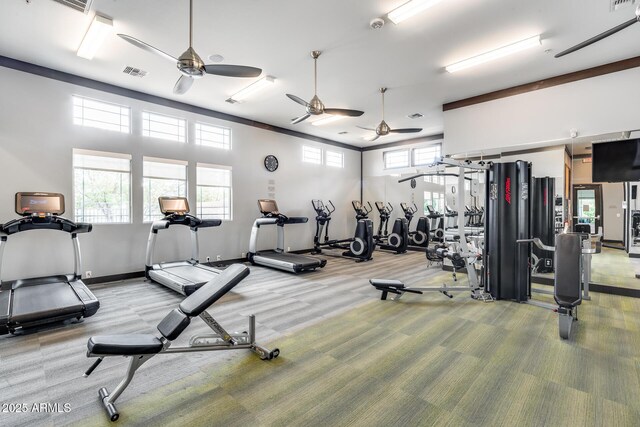 4630 E Navigator Ln, Phoenix, AZ 85050 - workout area featuring a ceiling fan and carpet floors