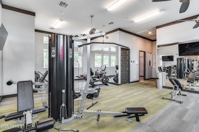 4630 E Navigator Ln, Phoenix, AZ 85050 - exercise room featuring a ceiling fan, carpet, a towering ceiling, and baseboards