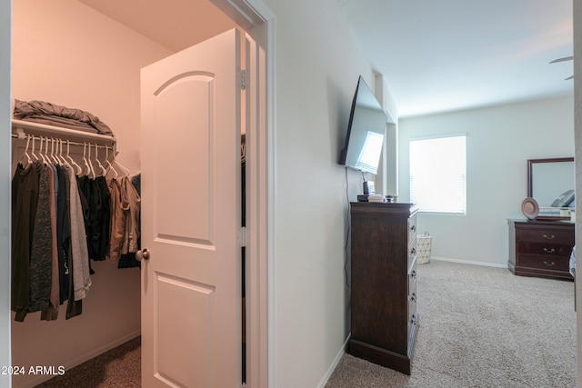 interior space with a closet and carpet