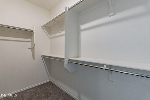 spacious closet with dark colored carpet