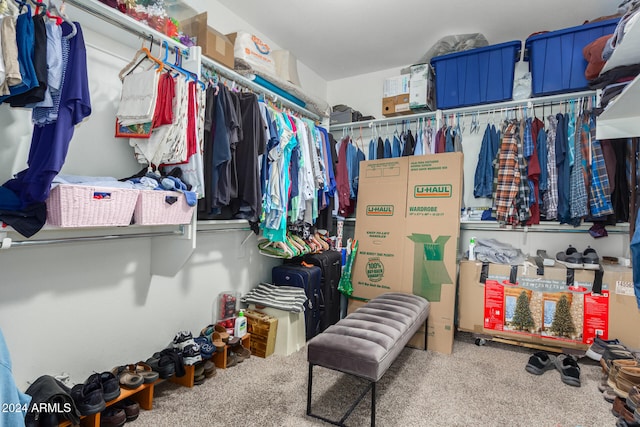 walk in closet featuring carpet flooring