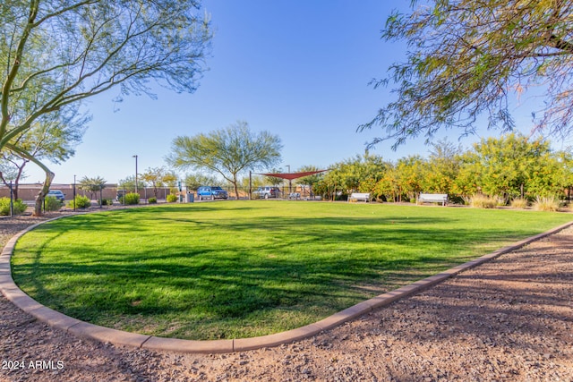 view of community with a lawn