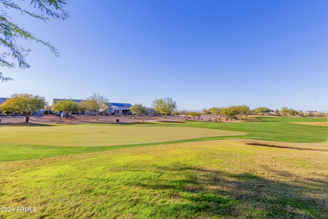 view of home's community with a yard