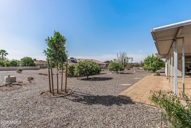 view of yard featuring a patio