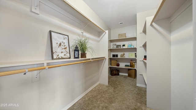 spacious closet featuring light carpet