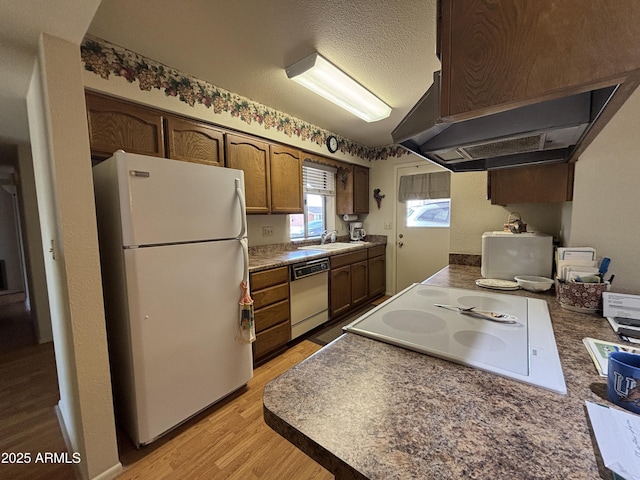 kitchen featuring dishwasher, ventilation hood, white refrigerator, light hardwood / wood-style floors, and cooktop